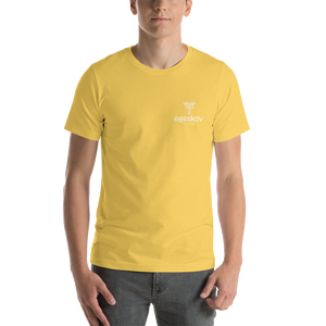 Go-to T-Shirt (Available in 12 colors)